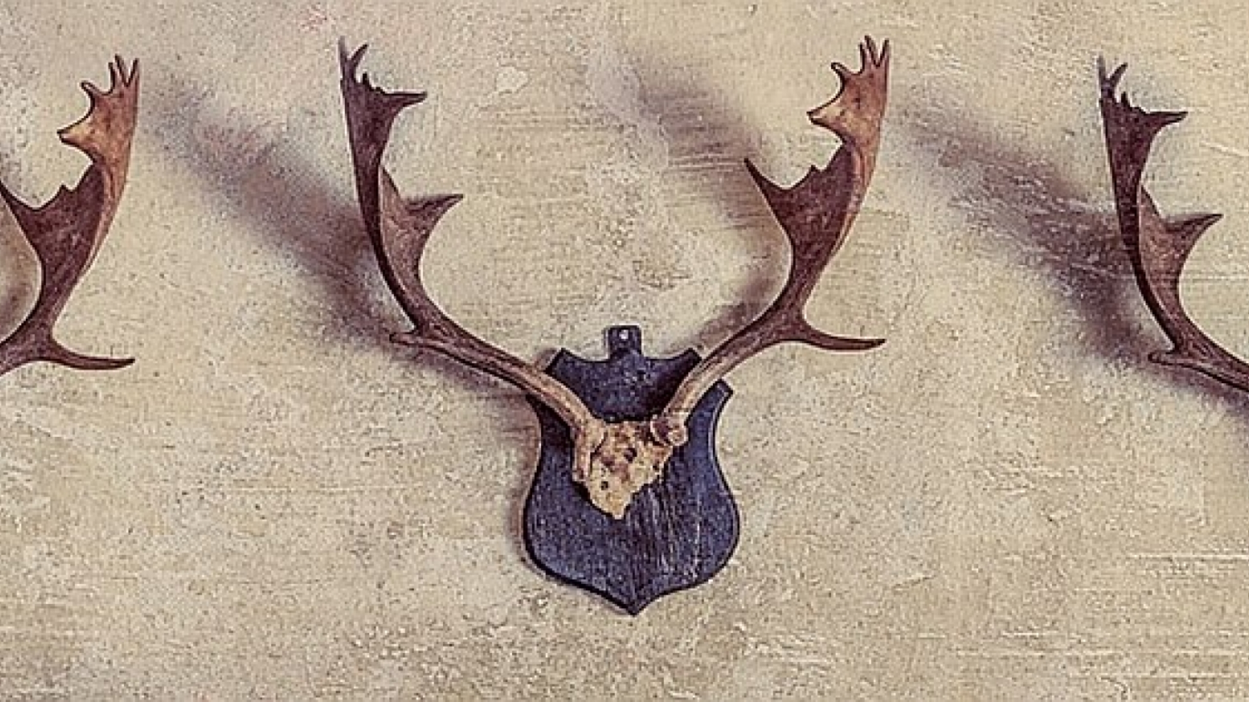 faustus_gevirer_foto faustus_gevirer_foto
